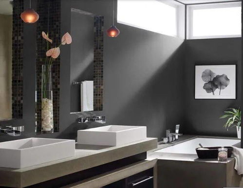 衛(wèi)浴產(chǎn)品要有質(zhì)量有特色才能吸引消費者目光